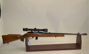 beretta weatherby 22Lr ETS BERNIZAN