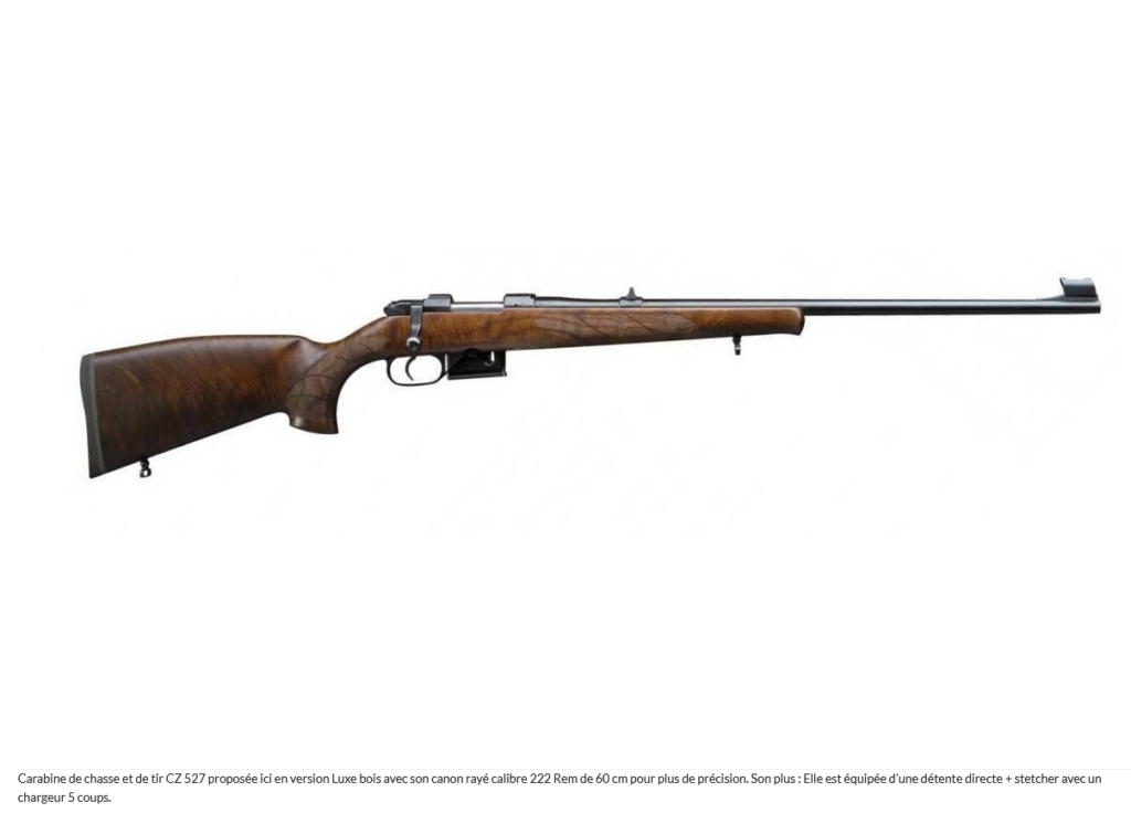 CZ 527 222 rem ETS BERNIZAN