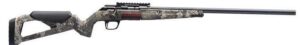 WINCHESTER X PERT 22 lr armurerie bernizan bayonne