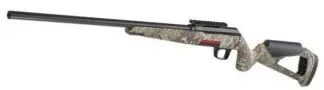 WINCHESTER X PERT 22 lr armureriebernizan bayonne