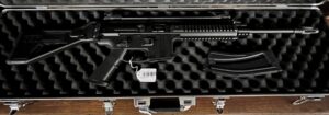 GSG 15 22 Lr CARABINE SEMI-AUTO 22 Lr Occasion armurerie Bernizan Bayonne